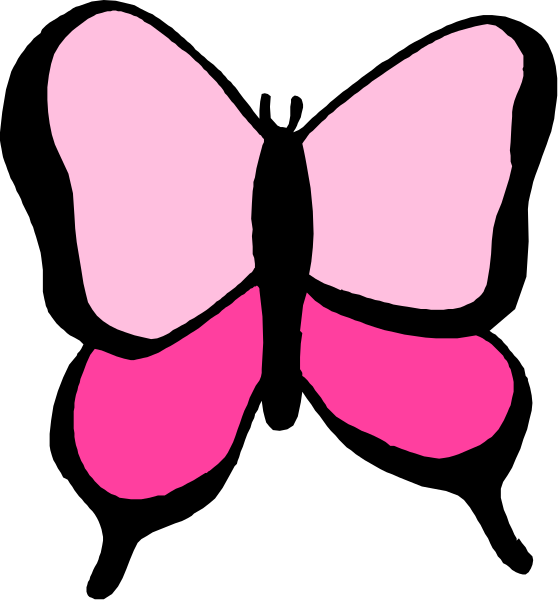 The image shows a pink butterfly with two wings on it against a black background.