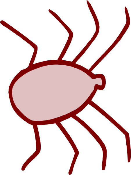 The image shows a simple line drawing of an insect with eight legs on what appears to be a black background.