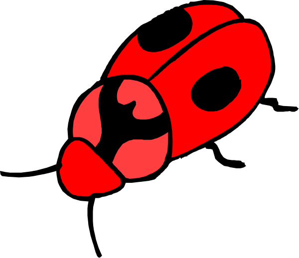 The image shows a red ladybug with white spots on its wings against a black background.