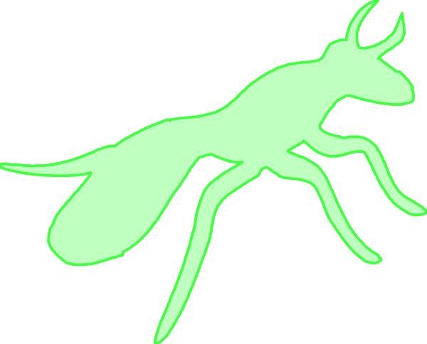 The image shows a green silhouette of an insect with antennae on its head against a black background.