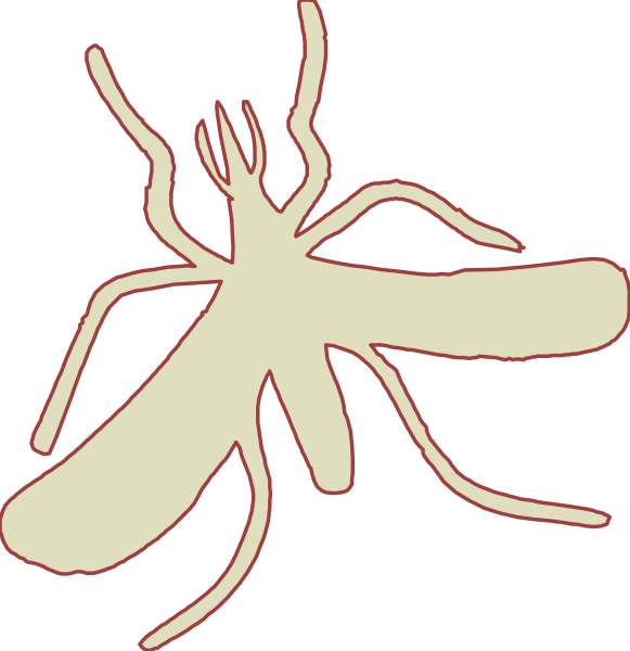 The first frame shows a red silhouette of an insect with six legs on its body; it is facing left against a black background. In contrast to this image, the second one displays another identical figure but in white color and also set against a dark backdrop.