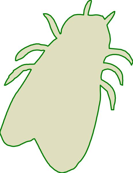 The image shows a stylized bee with an exaggeratedly large body compared to its head on what appears to be a black background.