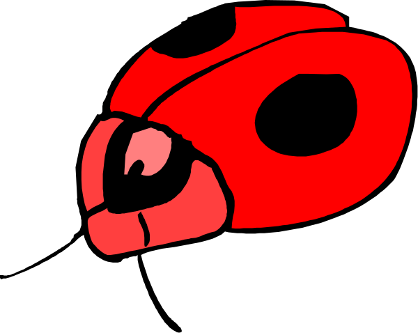 The image shows a red helmet with an insect inside it against a black background.