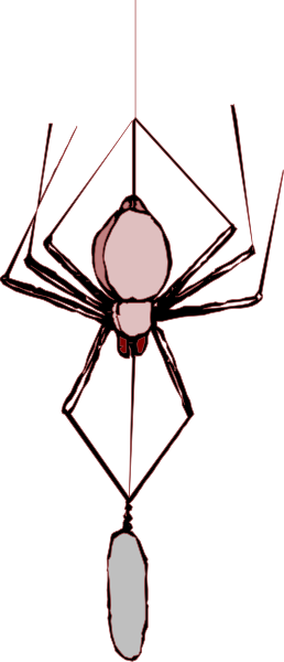 The image shows a black spider with red eyes hanging from an upside down triangle on what appears to be a web against a dark background.