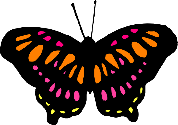 The image shows a colorful butterfly with pink wings against a black background.