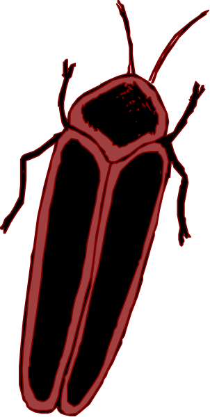 The image shows a red beetle with black antennae on it against a white background.