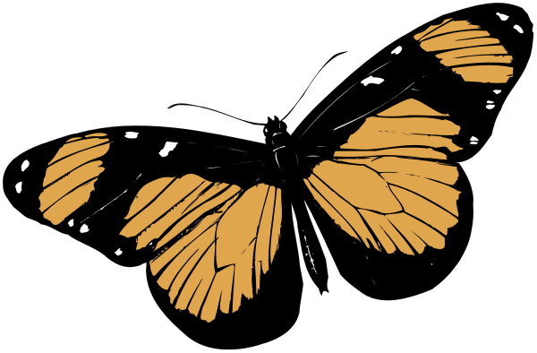The image shows a black silhouette of an open butterfly with orange wings against a dark background.