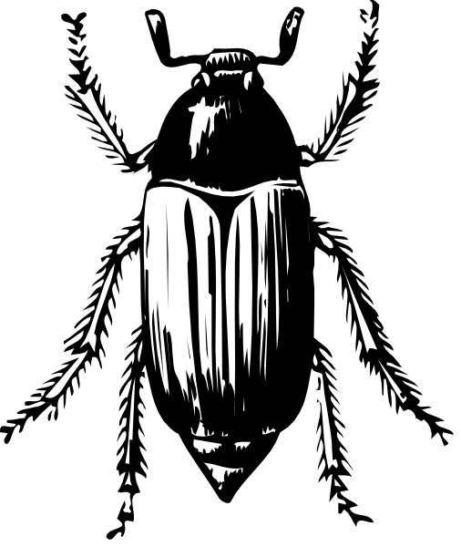 The black and white illustration shows a beetle with its wings spread out against a dark background.