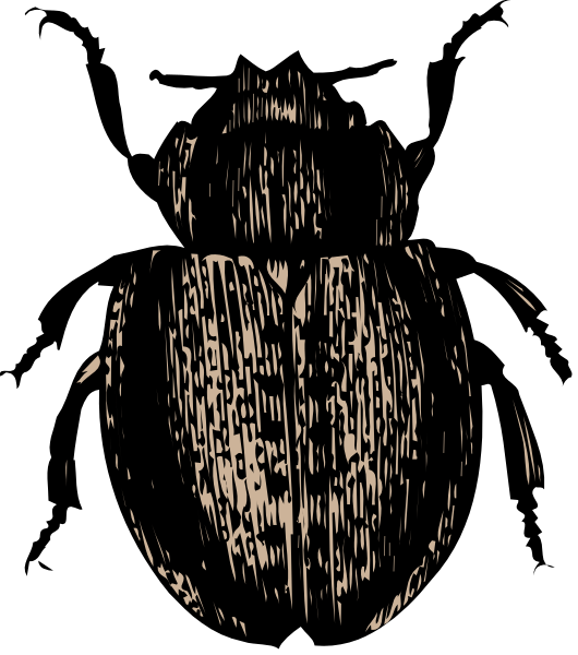 The image shows a black and white photo of an insect with spots on its body against a dark background.