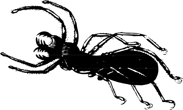 The black and white photo shows a cat with its head turned to look at something off camera while standing on what appears to be an unidentified surface in front of it.