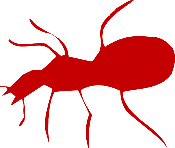 The image shows a red spider with eight legs on it against a black background.