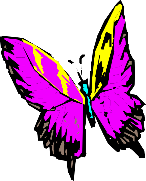 The image shows a stylized butterfly with pink wings against a black background.
