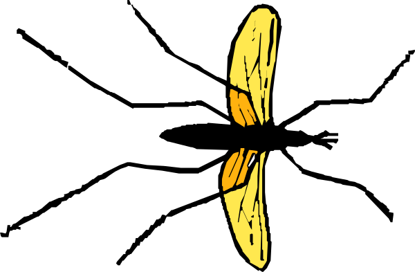 The image shows a close up of an object with reflective surfaces that create multiple reflections within it; however, due to its small size and low resolution, specific details about objects, people, animals, actions, and setting cannot be confidently determined from this description alone.