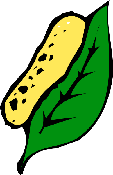 The image shows a stylized graphic of an ear of corn with green leaves on either side against a black background.