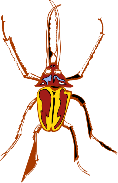 The image shows a stylized illustration of an insect with red wings on its back against a black background.