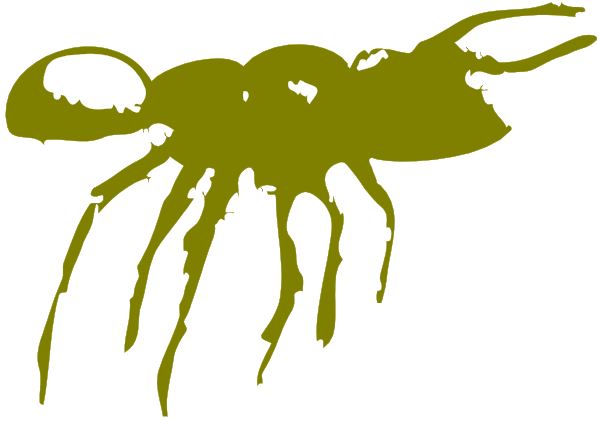 The image shows a stylized illustration of an octopus with its tentacles spread out against a dark background.