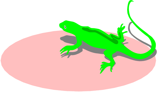 The image shows a green lizard on top of pink background with its tongue out as if it's sticking to something above it.