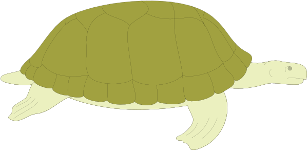 The image shows a cartoon turtle with its head sticking out of an opening on top of it's shell as if swimming in water.