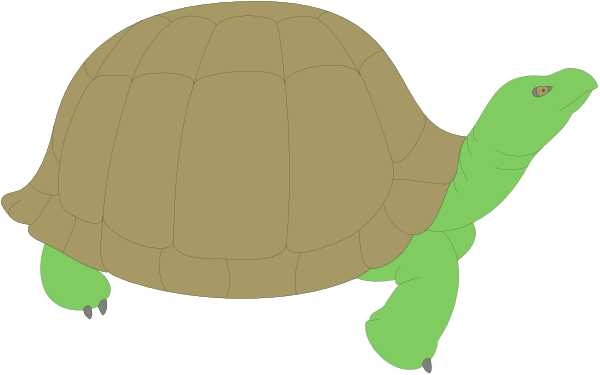 The image shows a cartoon turtle with an anthropomorphic face wearing glasses on its head, walking across what appears to be grass in front of a dark background.