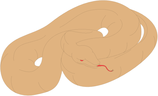 The image shows a simple line drawing of two snakes intertwined with each other on what appears to be a black background.