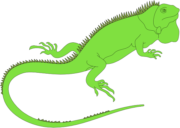 The image shows a green lizard with an orange belly on its back riding atop another larger lizard that is also colored in shades of green.