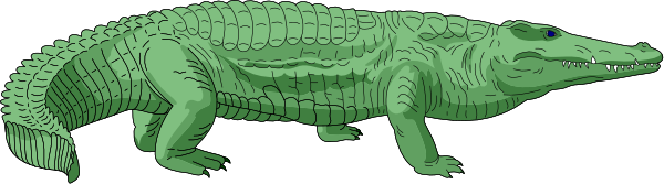 The image shows a green alligator with its mouth open on top of an unseen surface against a dark background.
