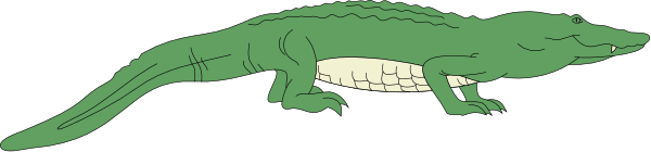 The image shows a green alligator with its mouth open on an unidentified surface against a gray background.