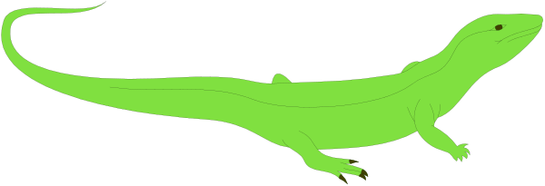 The image shows a green alligator with an open mouth on top of water.