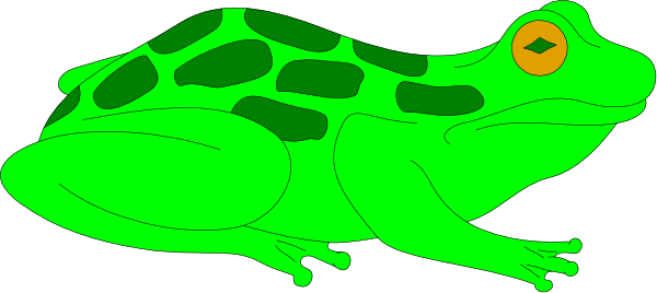 The image shows a frog with green spots on its body against an orange background that resembles water lilies in front of it.