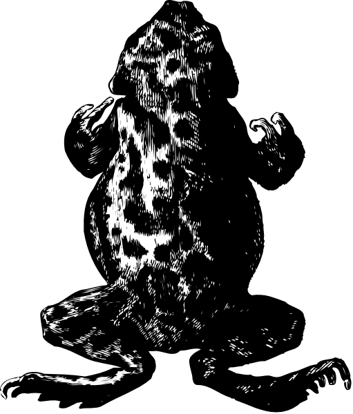 The black and white photo shows a blurry figure of an animal that appears to be either sitting down or lying on its side in what looks like water with ripples around it; there is no text present within this image, which focuses solely on depicting the scene without any additional context provided by labels.