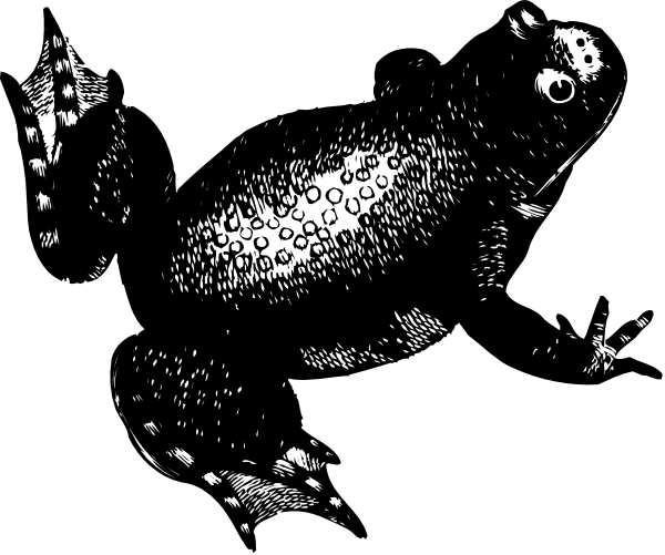 The black and white illustration shows a fish with spots swimming underwater near plants.