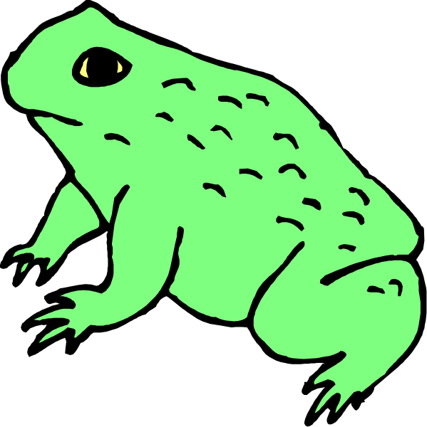 The image shows a green frog with spots on its back sitting next to another smaller frog that is facing away from us in an outdoor environment during daylight hours.