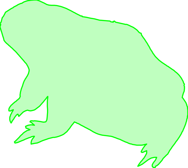 The image shows a green frog with its mouth open on top of an alligator silhouette against a black background.
