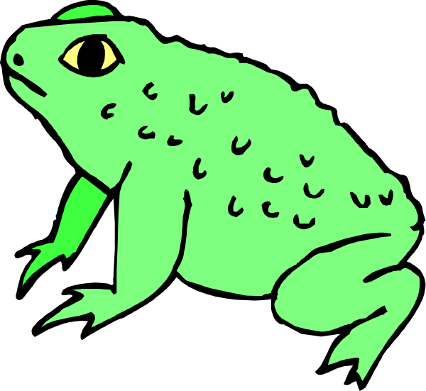 The image shows a cartoon frog with an exaggeratedly large head sitting on top of another smaller green frog that is also facing forward.