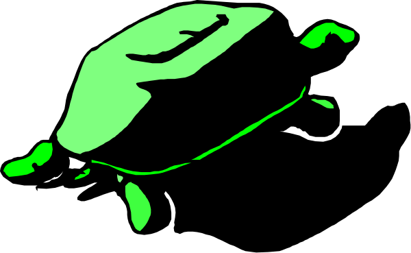 The image shows a green leaf with veins on it against a black background.