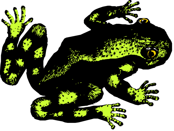The black background features a green frog with yellow spots on its back swimming towards an alligator that is also covered in neon-colored markings.