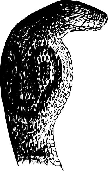 The black and white photo shows a stylized bird with outstretched wings against an indistinct background that appears to be darkened for dramatic effect.
