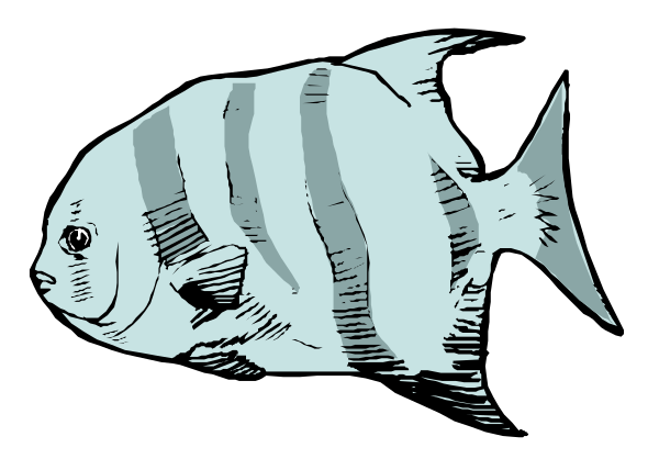 The black and white illustration shows a fish with stripes swimming underwater against a dark background.