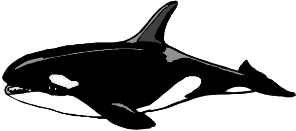 The black and white photo shows a car with its hood up on an unidentified roadway at nighttime.