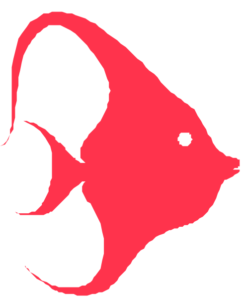 The image shows a red fish with white fins swimming near an underwater coral reef structure against a dark background.