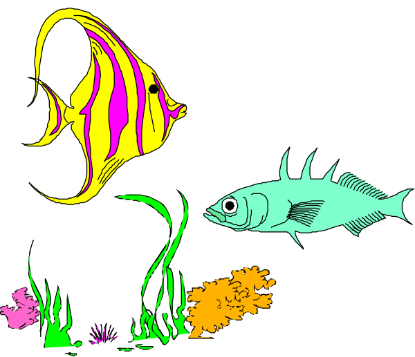 The image shows a colorful underwater scene with two fish: on top is an orange clownfish swimming near coral reefs; below it floats another blue-green tropical fish in front of some seaweed and rocks, all set against a black background that suggests depth or nighttime.