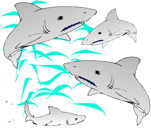 The image shows three sharks swimming near a plant with blue leaves underwater.