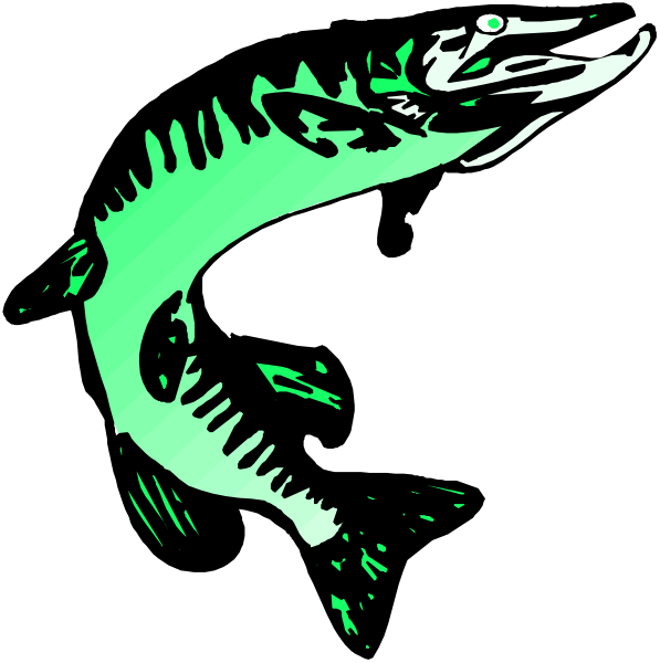 The image shows a stylized shark with an open mouth against a black background.