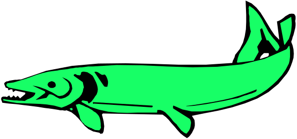 The image shows a green alligator with its mouth open against an orange background.
