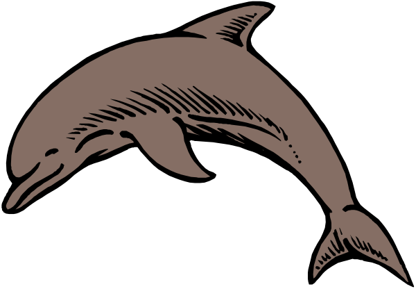 The image shows a black and white illustration of two dolphins swimming side by side with their heads facing each other in an ocean-like background.