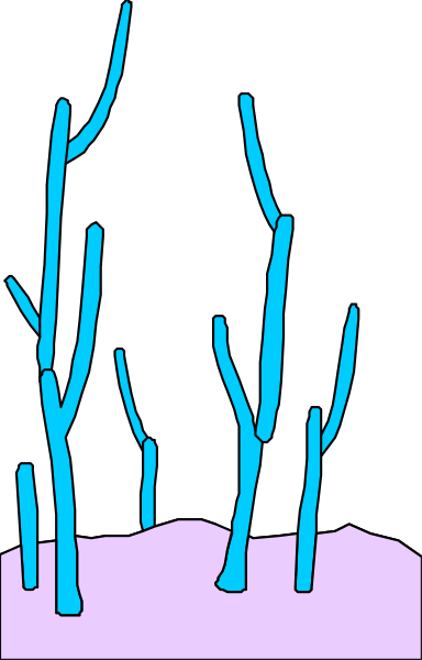 The image shows a nighttime scene with trees outlined against a dark sky background; there is no snow on the ground but some blue lines suggest branches of bushes in front of what appears to be an open window, creating a silhouette effect that resembles a Christmas tree shape.