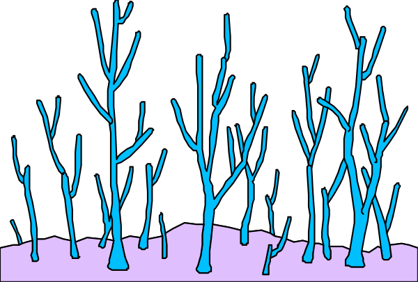 The image shows a black background with blue silhouettes of trees against it on what appears to be an electronic display screen.