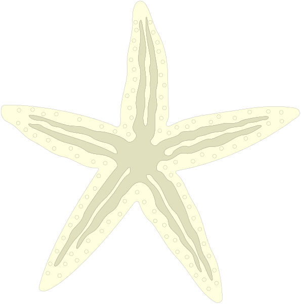 The image shows two starfish against a black background with white outlines: on top is an open starfish facing upwards; below it is another closed starfish lying flat in front of its companion.