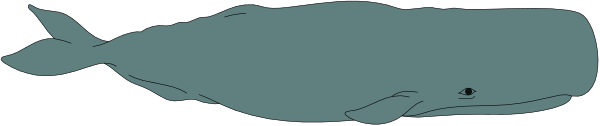 The image shows a blue whale swimming underwater with its head visible above water level.