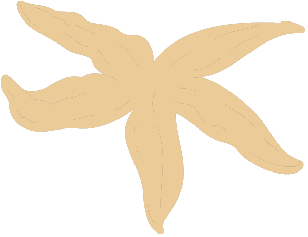 The image shows a simple line drawing of two starfish on black background with no additional details provided about their surroundings or any other elements present in this clip-art illustration.